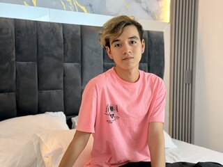 Recorded webcam cam IronDante